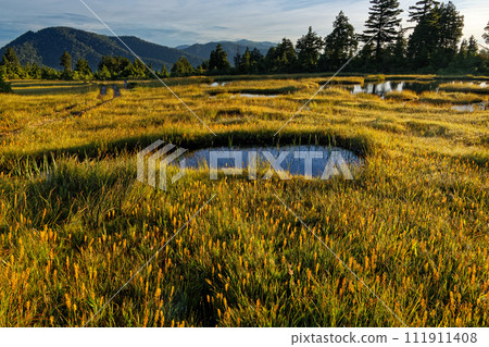 Morning scenery of Oze/Hirogatake Hirosawa Tashiro 111911408