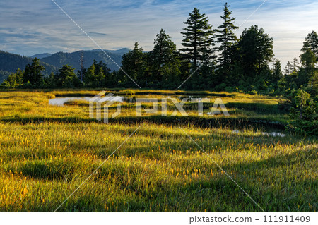 尾瀨/廣岳的早晨風景 廣澤田代 111911409