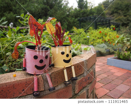 flower pot flower pot 111911465