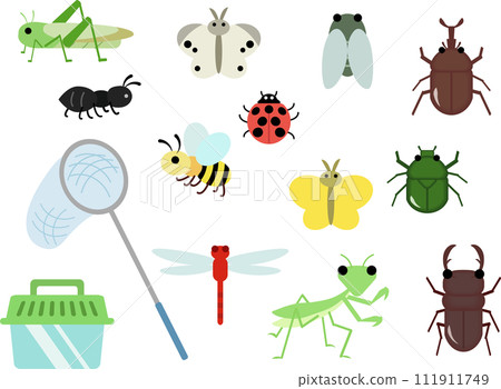 昆蟲套裝 昆蟲套裝 111911749