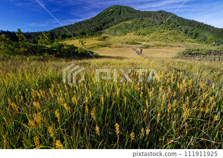 Oze and Mt. Hiugatake seen from Kumasawa Tashiro in early autumn when the goldenrod blooms 111911925