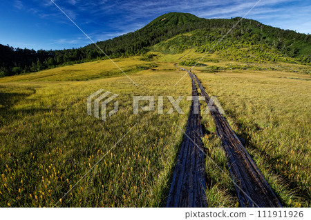 Oze and Mt. Hiugatake seen from Kumasawa Tashiro in early autumn when the goldenrod blooms Oze and Mt. Hiugatake seen from Kumasawa Tashiro in early autumn when the goldenrod blooms 111911926