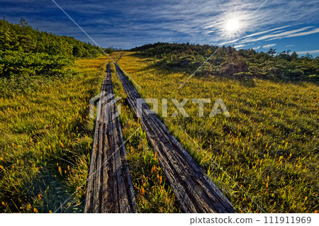 尾瀨/熊澤田代初秋黃花盛開 尾瀨/熊澤田代初秋黃花盛開 111911969