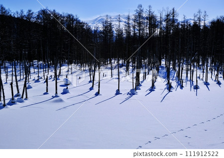 Hokkaido Biei Town Blue Pond in winter Hokkaido Biei Town Blue Pond in winter 111912522