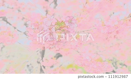 Kawazu cherry blossoms in the blue sky Kawazu cherry blossoms in the blue sky 111912987
