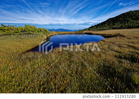 初秋黃花盛開時的田代、熊澤、尾瀨的池塘 初秋黃花盛開時的田代、熊澤、尾瀨的池塘 111913280