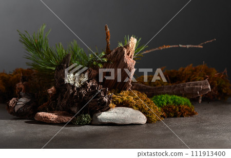 Northern natural composition with lichen, moss, pine branches and driftwood. 111913400