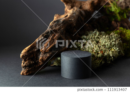 Abstract north nature composition and podium for your product. Abstract north nature composition and podium for your product. 111913407