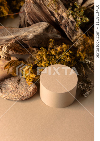 Abstract north nature composition and  podium for your product. 111913410