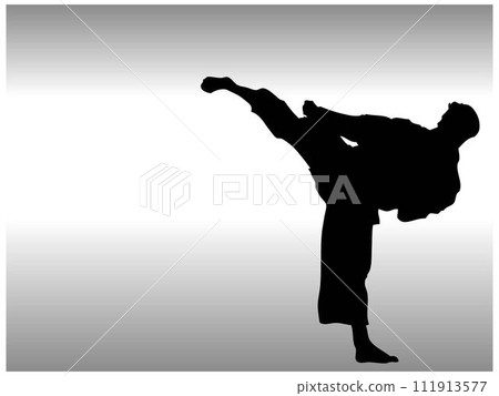 Karate upper roundhouse kick 111913577