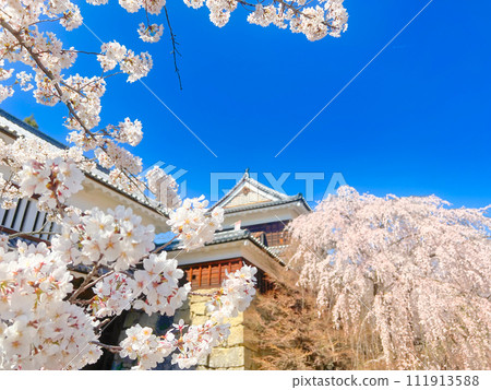 內田城堡塔和櫻花 111913588