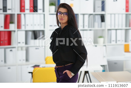 Beautiful smiling brunette woman in office 111913607