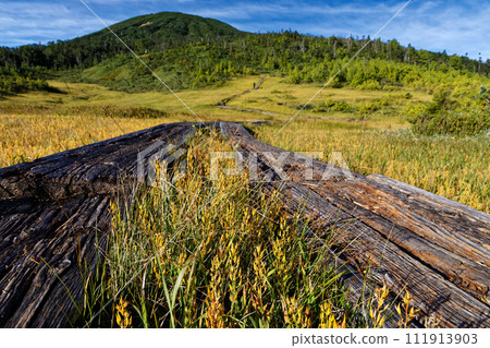 初秋從尾瀨/熊澤田代看到的螢石岳 111913903
