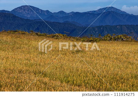 從尾瀨和熊澤田代看到的中野山和越後駒岳，那裡盛開著一枝黃花。 111914275