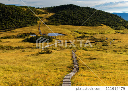從尾瀨/胡志岳登山口看到的熊澤田代池 從尾瀨/胡志岳登山口看到的熊澤田代池 111914479
