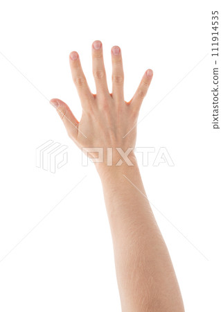 Adult man hand count five isolated on white background 111914535