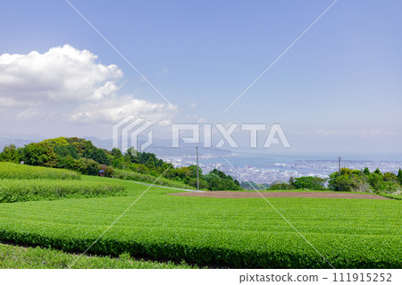 從日本平眺望富士山、茶田和駿河灣 111915252