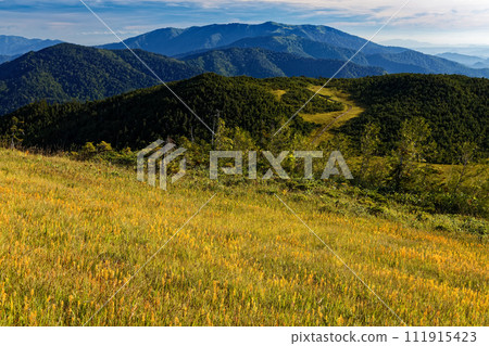 登上黃花盛開的尾瀨須沼岳，眺望會津駒岳 111915423