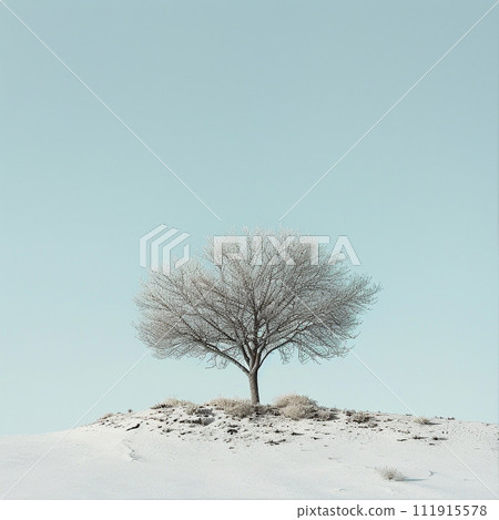 A single tree stands resilient against the vastness of a sandy desert dune, under a clear blue sky 111915578