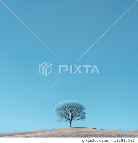 A single, leafless tree stands stark against a clear blue sky, atop a gently rolling hill blanketed in pristine snow A single, leafless tree stands stark against a clear blue sky, atop a gently rolling hill blanketed in pristine snow 111915581