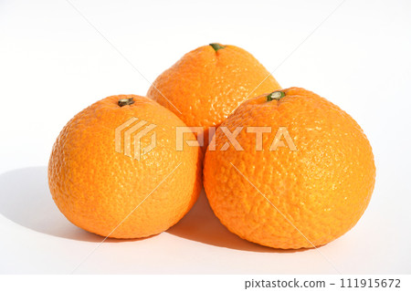 Mandarin oranges and citrus fruits (sweet spring) 111915672