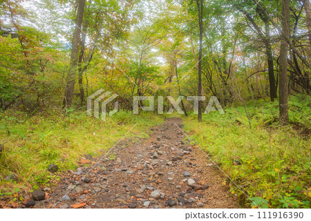 山路【小淺山】 111916390