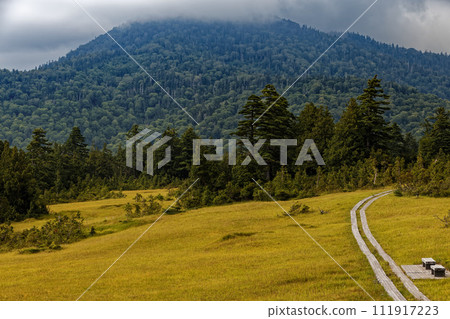 尾瀨/浦仁森林道路/上城斜坡濕地 111917223