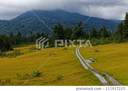 尾瀨/浦仁森林道路/上城斜坡濕地 111917225