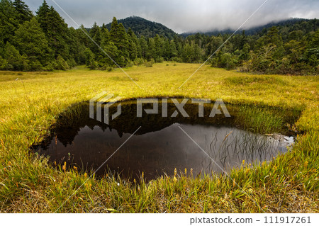 Autumn leaves and pond on the Urahito forest road in Oze Autumn leaves and pond on the Urahito forest road in Oze 111917261