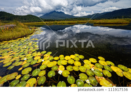 Ozegahara pond and Mt. Hibutsugahara where sheep grass blooms Ozegahara pond and Mt. Hibutsugahara where sheep grass blooms 111917536