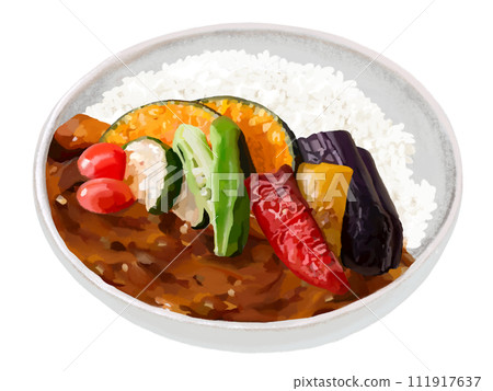 vegetable curry 111917637