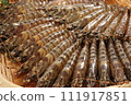 Prawn prawn 111917851