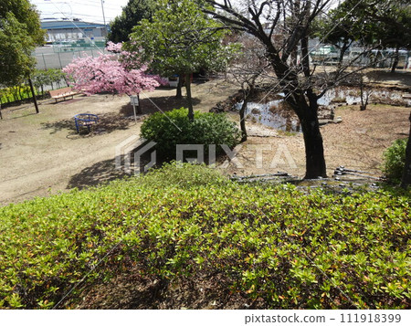 間原新田綠地(愛知縣小牧市) 間原新田綠地(愛知縣小牧市) 111918399