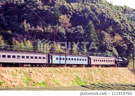 Steam locomotive of Oigawa Railway 111919760