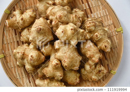 菊久茂 菊久茂 111919994