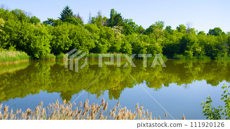 A picturesque lake, a forest on the shore of a reservoir. Wide photo. A picturesque lake, a forest on the shore of a reservoir. Wide photo. 111920126
