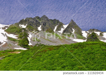 Summer scenery of Karasawa Cirque in the Northern Alps 111920434