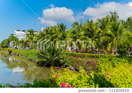 The park area. The park area. 111920919
