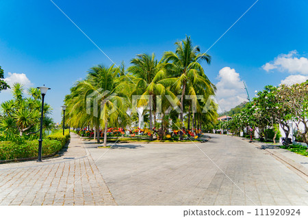The park area. The park area. 111920924