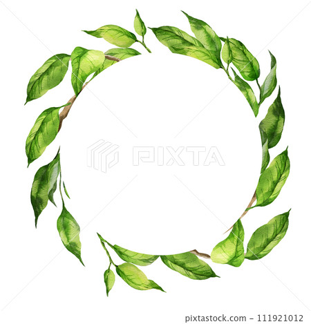 watercolor wreath with illustration of green leaves on a branch, branch of peach or apricot, nectarine, sketch of nature element isolated on white background watercolor wreath with illustration of green leaves on a branch, branch of peach or apricot, nectarine, sketch of nature element isolated on white background 111921012