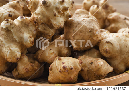 菊久茂 111921287