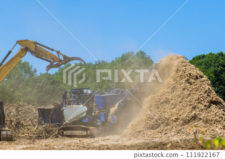 Forest mulcher is loaded with roots trees to be chopped by an industrial shredder machine 111922167