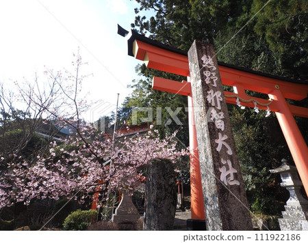 熊野那智大社參道鳥居 111922186