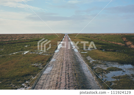 Brick Path into wadden sea at westerhever in germany 111924129