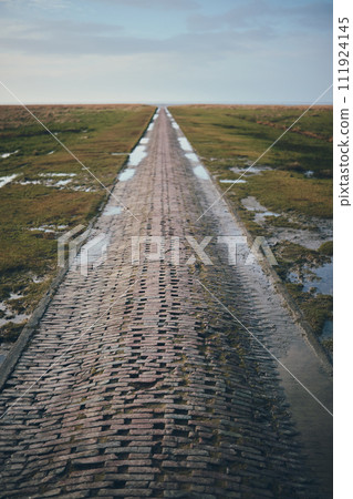 Brick Path into wadden sea at westerhever in germany 111924145