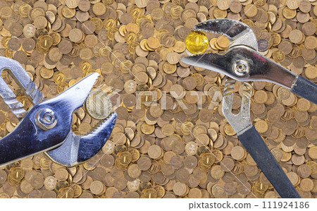 Allegory of the global financial crisis - Iron 10 rubles coin (written ten rubles, the Bank of Russia) in the grip of economic crisis. Finance and business concept Allegory of the global financial crisis - Iron 10 rubles coin (written ten rubles, the Bank of Russia) in the grip of economic crisis. Finance and business concept 111924186