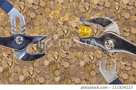 Allegory of the global financial crisis - Iron 10 rubles coin (written ten rubles, the Bank of Russia) in the grip of economic crisis. Finance and business concept Allegory of the global financial crisis - Iron 10 rubles coin (written ten rubles, the Bank of Russia) in the grip of economic crisis. Finance and business concept 111924223
