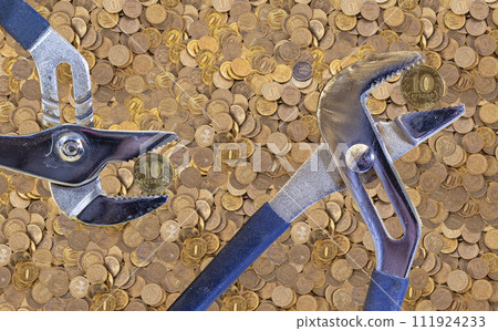 Allegory of the global financial crisis - Iron 10 rubles coin (written ten rubles, the Bank of Russia) in the grip of economic crisis. Finance and business concept Allegory of the global financial crisis - Iron 10 rubles coin (written ten rubles, the Bank of Russia) in the grip of economic crisis. Finance and business concept 111924233