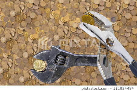 Allegory of the global financial crisis - Iron 10 rubles coin (written ten rubles, the Bank of Russia) in the grip of economic crisis. Finance and business concept Allegory of the global financial crisis - Iron 10 rubles coin (written ten rubles, the Bank of Russia) in the grip of economic crisis. Finance and business concept 111924484