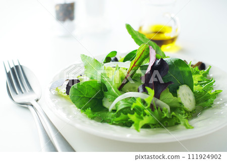 清爽的綠沙拉 清爽的綠沙拉 111924902